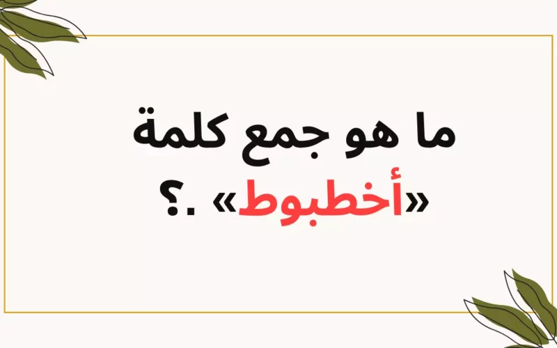 أين عباقرة اللغة العربية.. هل تعرف ما هو جمع كلمة أخطبوط في معجم اللغة العربية؟